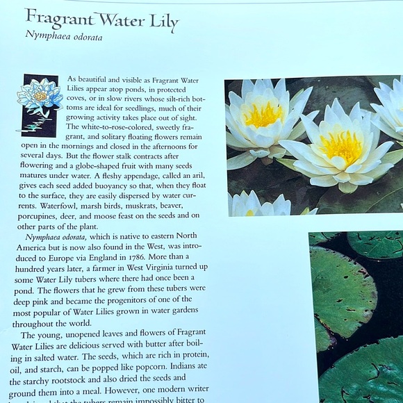 USPS Wildflowers A Collection Of U.S. Commemorative Stamps Hardcover Book - Picture 8 of 16